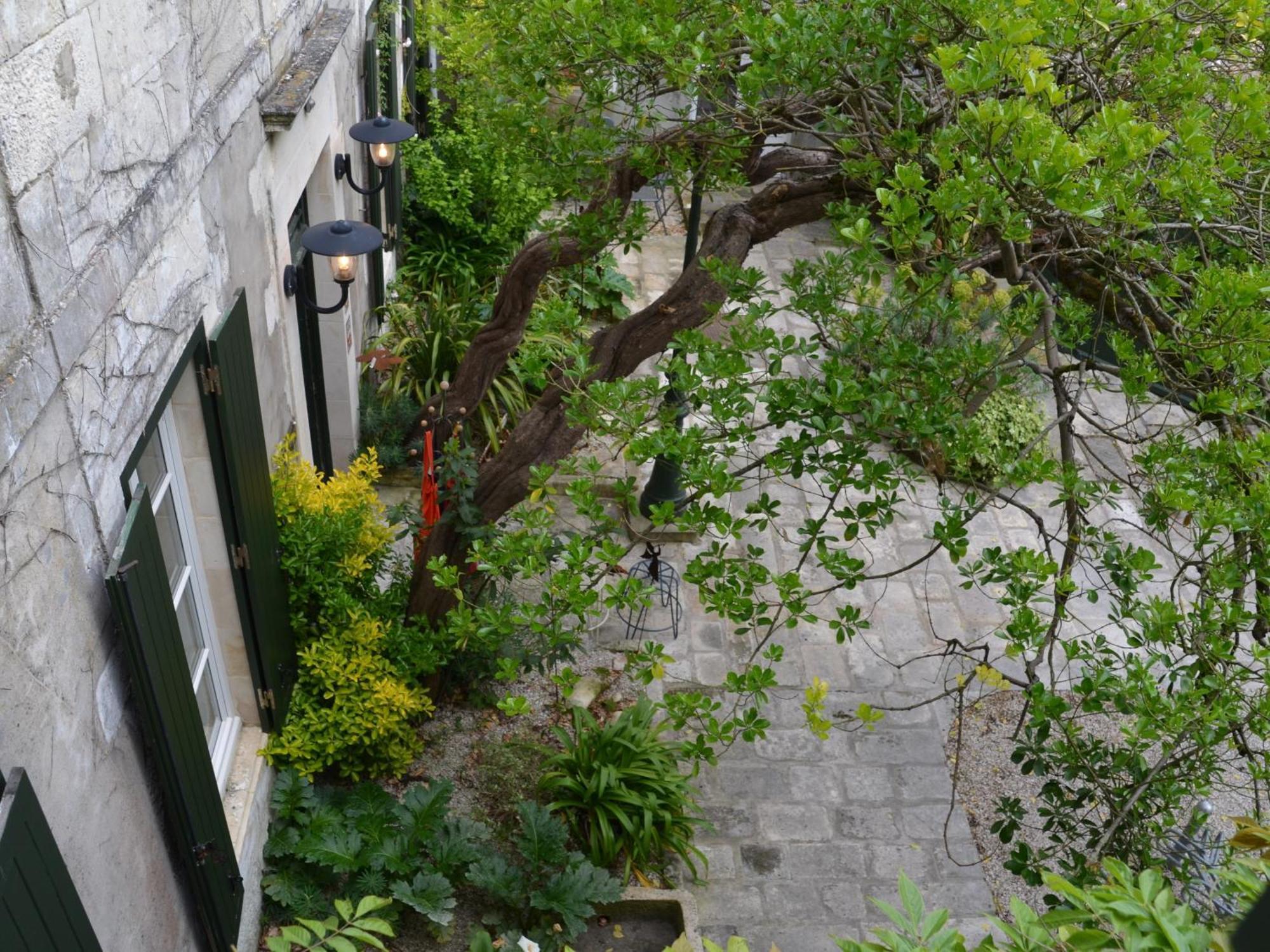 Le Mole Bed & Breakfast La Flotte Phòng bức ảnh